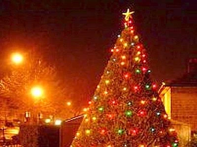 A Natale comprare abeti toscani per fermare l'invasione della plastica