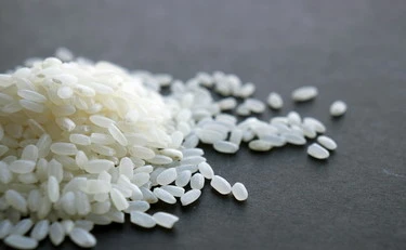 Riso italiano, varietà negate e prezzi a picco: cosa ci ritroviamo nel piatto