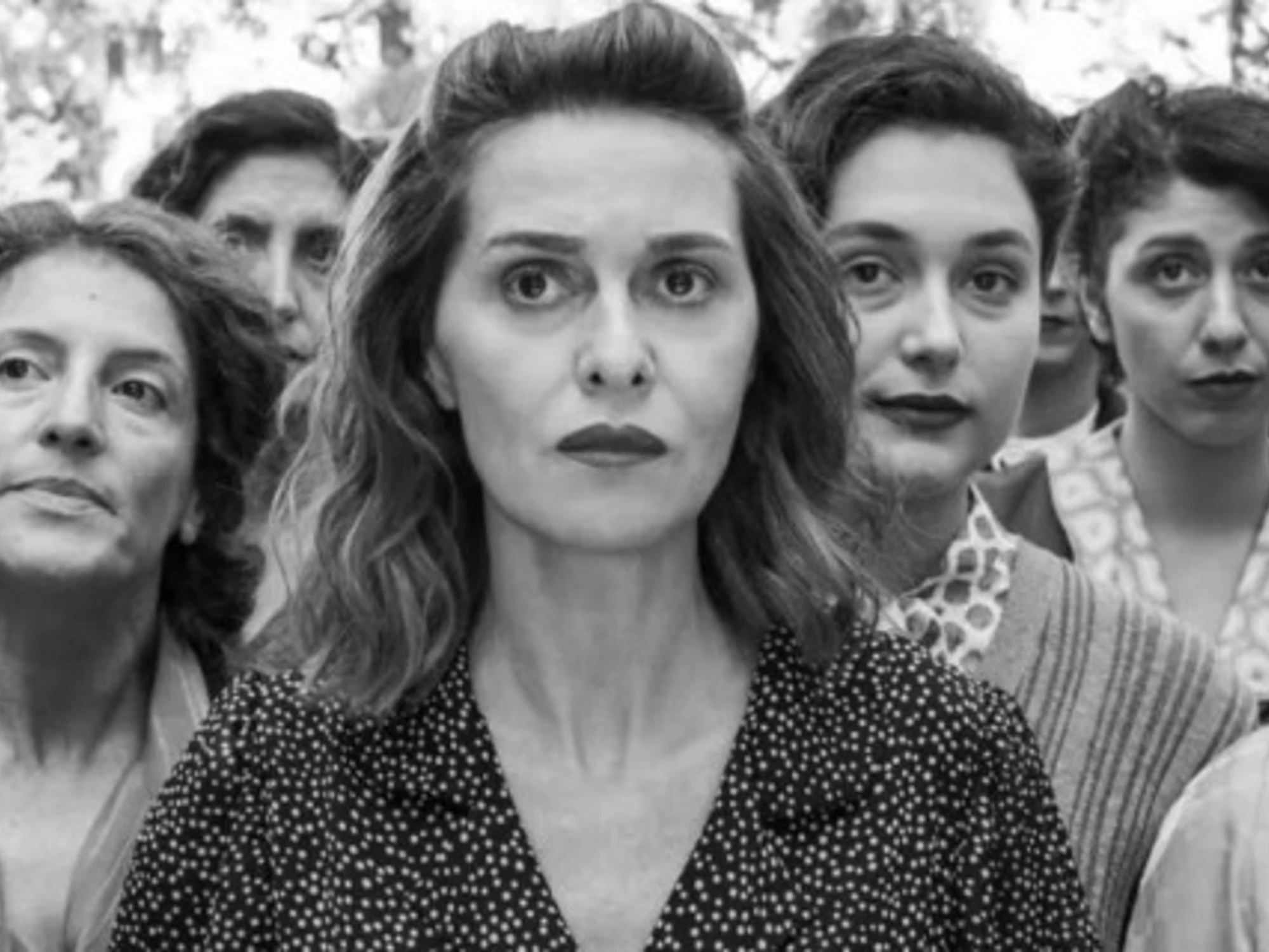 C'è ancora domani, l'ultimo trionfo su Rai 1