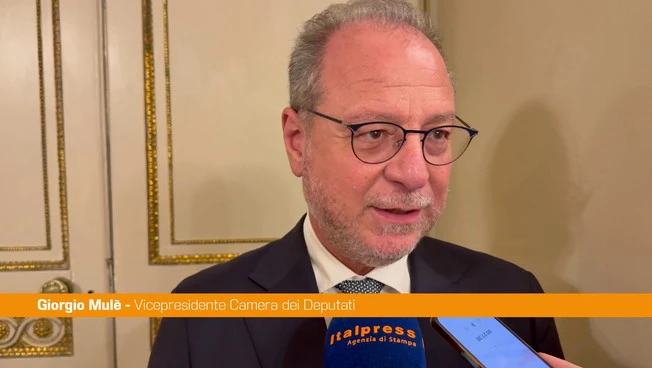Mulè "Alle comunali in Sicilia qualcosa non è stato fatto a dovere"