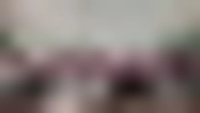 FnV, Vannacci: in Costituzione non un articolo che citi fascismo