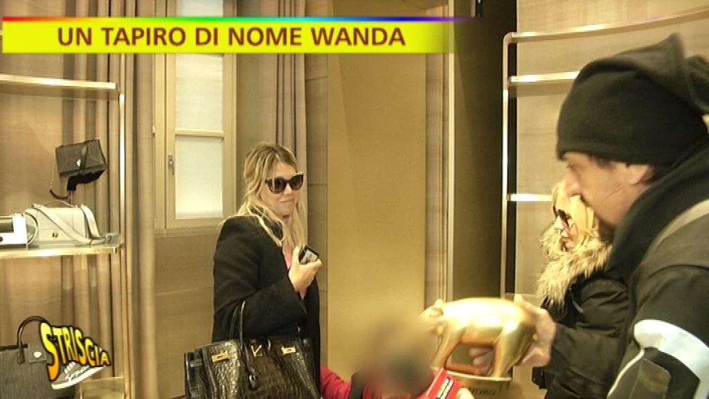 Striscia la notizia, scoop su Mauro Icardi: ecco il suo futuro, Wanda Nara confessa a Valerio Staffelli
