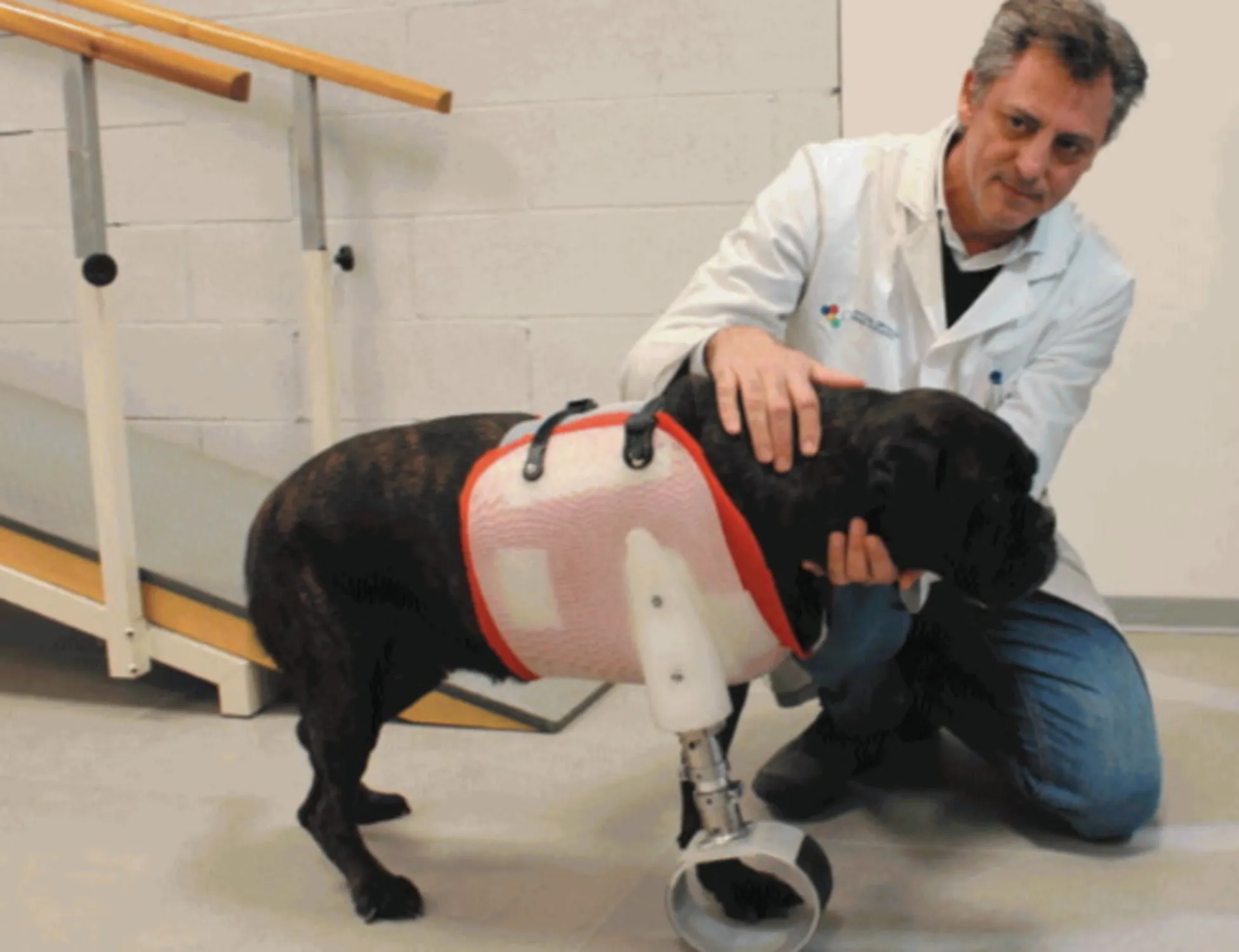 Leggi l'articolo: Il miracolo: così Juga è tornata a camminare