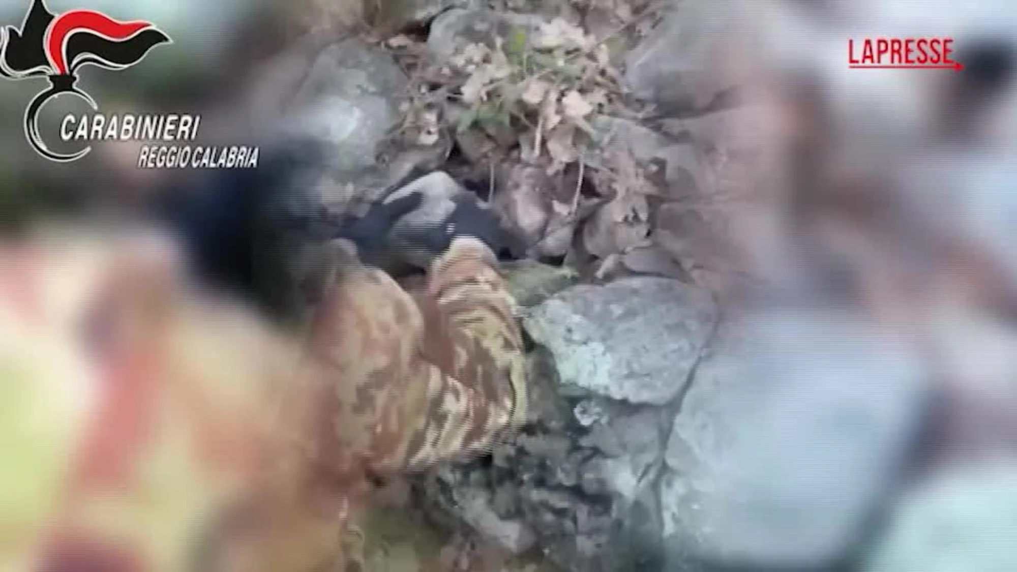 Aspromonte, scoperto un deposito di armi: il nascondiglio tra le pietre di un muretto