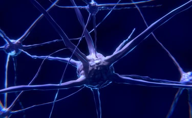 Schizofrenia: il cervello nasconde un nuovo indizio