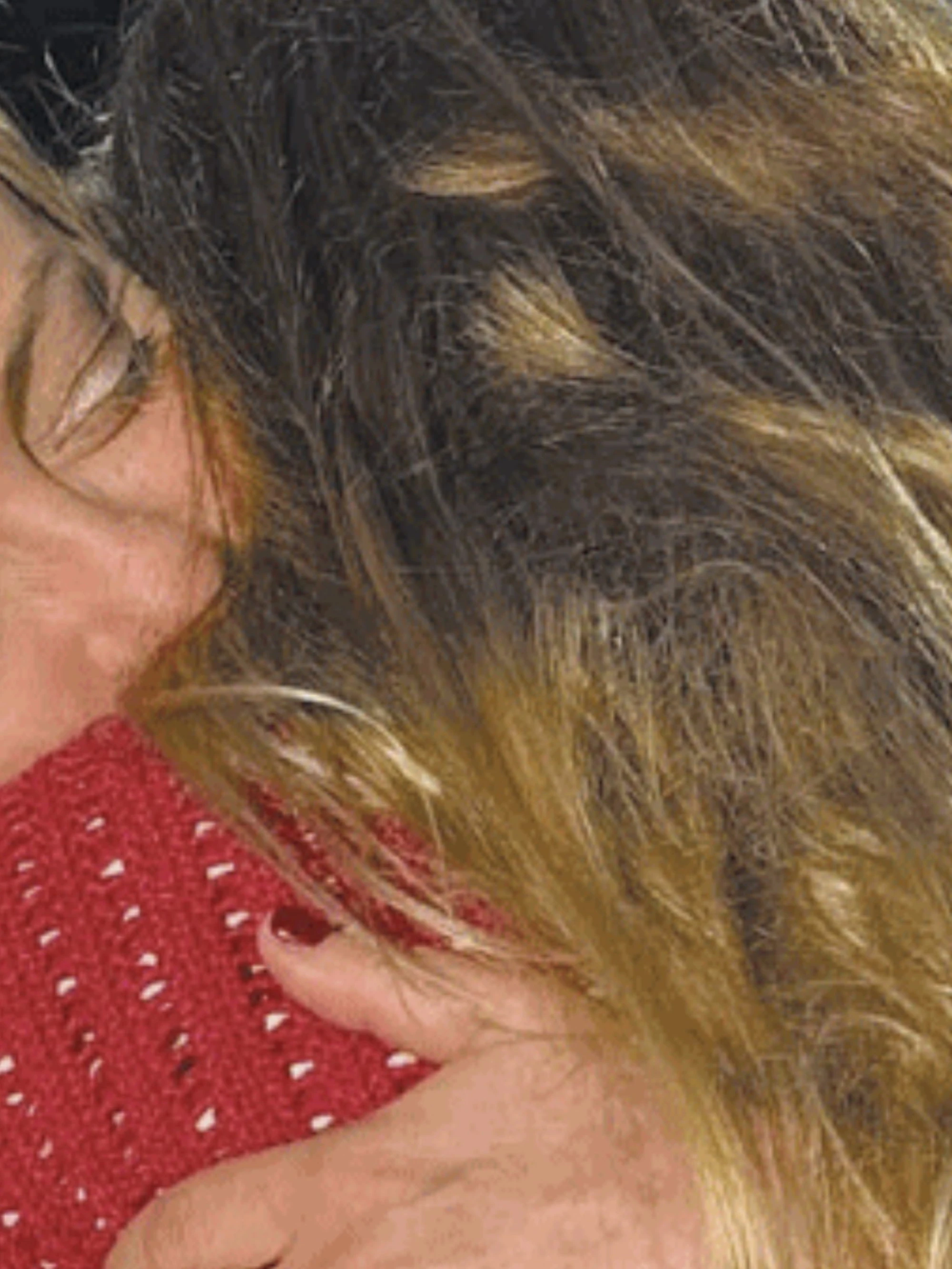Il colpo basso dei dem alla figlia di Giorgia