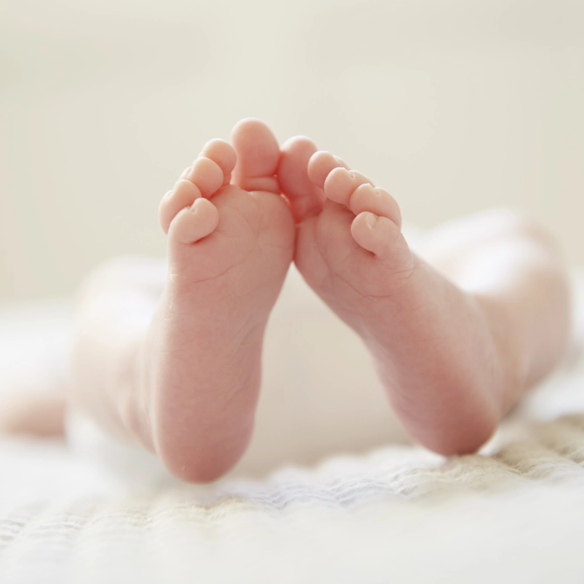 Coppie senza figli, casalinghi solitari Nel 2050 italiani in calo di 4 milioni