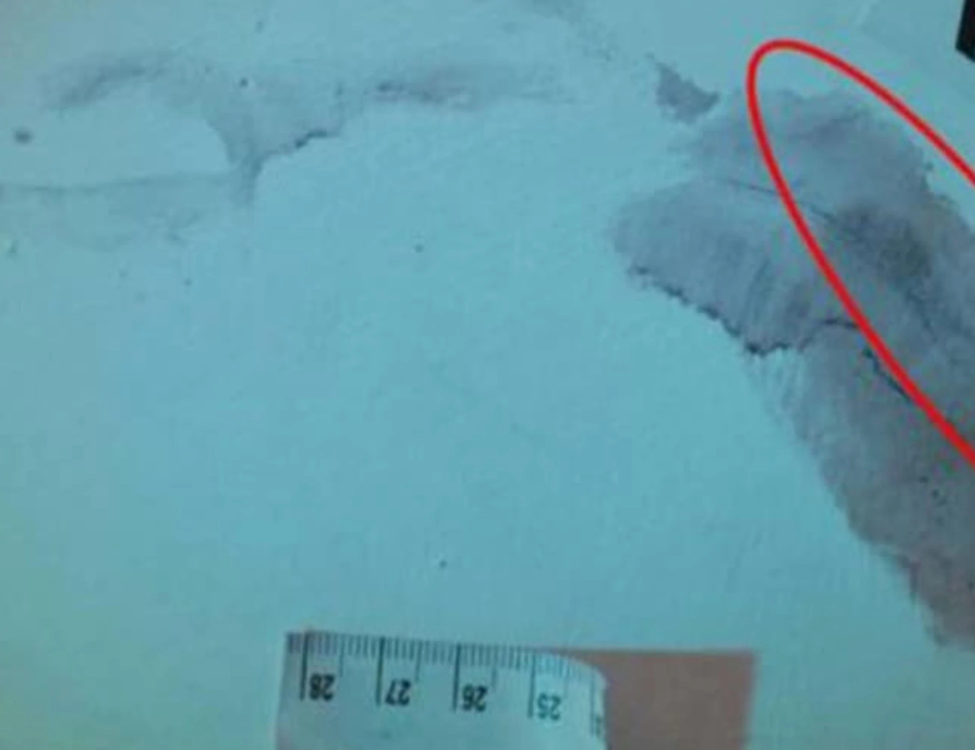 Garlasco, nuovo scontro su impronte e traccia 33