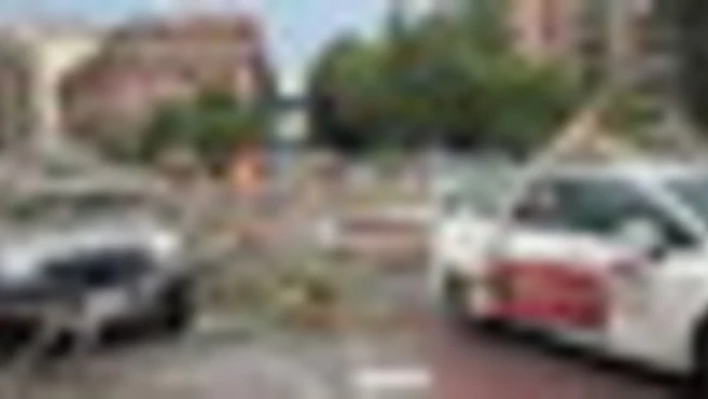 Maltempo a Roma, albero su taxi e auto parcheggiate a via Ostiense