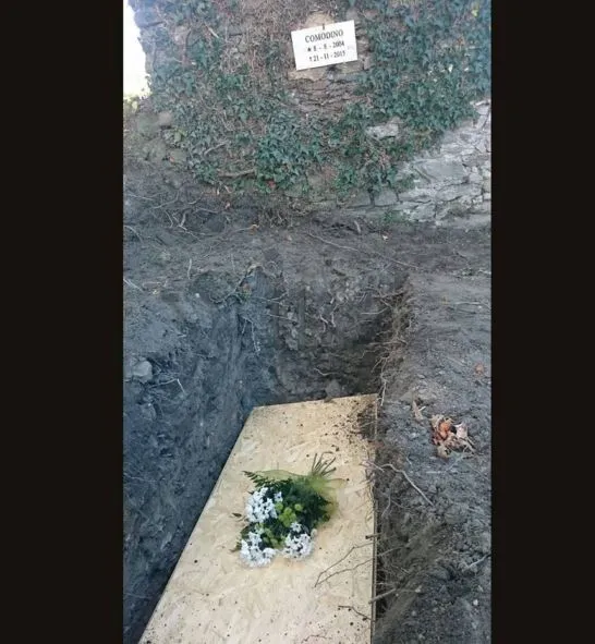 546x591