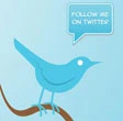 Usa, Twitter vietato
