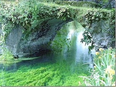 Il 19 maggio la "Giornata delle Oasi Wwf", 100 quelle aperte in tutta Italia