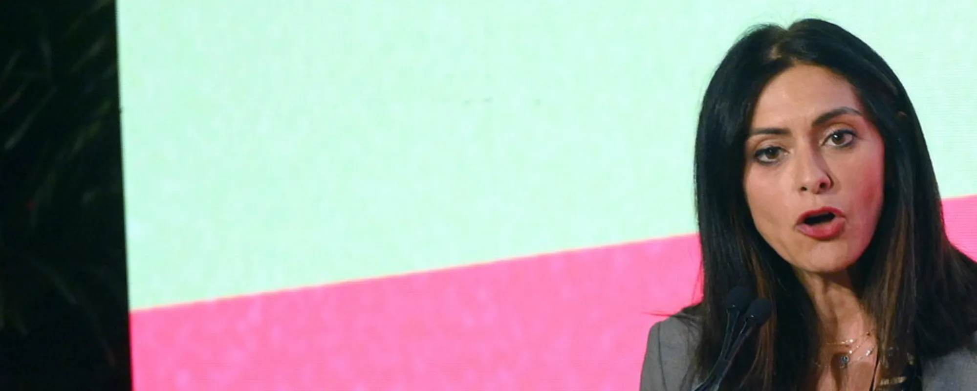 "Montanari solo fuffa. E Schlein muta": Pina Picierno affonda il Pd