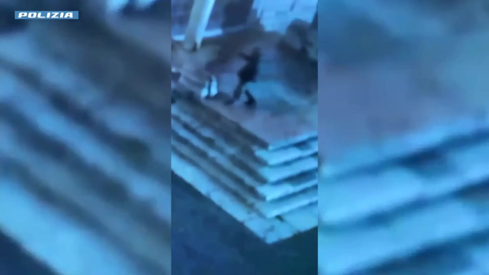 Individuato l'imbrattatore dei leoni di San Zeno a Verona