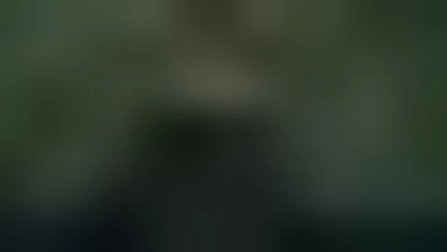 https://media.liberoquotidiano.it/8_-eFI0UTgeLDyQsZoPxSdqxS8AwTAp1IuvFAQr4xLQ/width:800/quality:90/aW1hZ2VzLzIwMjUvMDkvMjQvMTc1OTI0ODYzLWE0ZGNlM2UyLTE2ZjYtNGQzZi05YzcxLTdlMWM1MDUzYzk2Zi5qcGc.webp