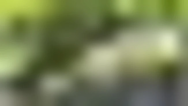 Vini, tradizione e storia ai piedi del Monte Taburno