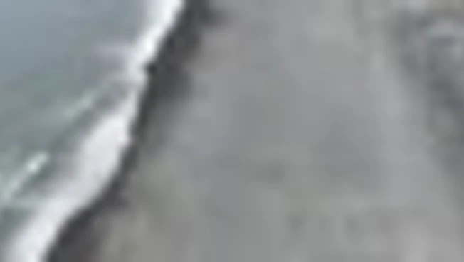 Strage di 13.000 cuccioli elefante marino alle isole Heard e McDonald