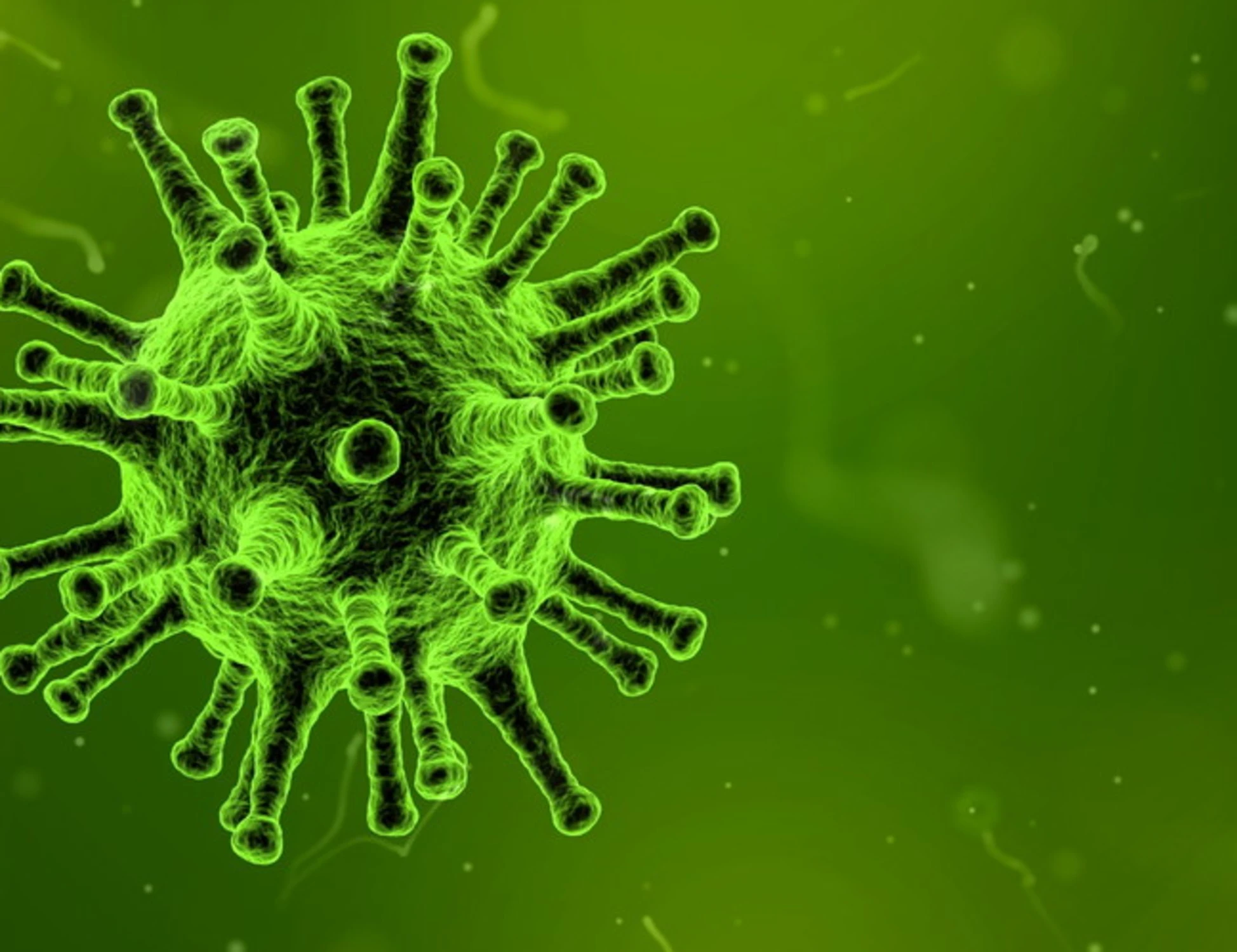 Influenza il virus potrebbe arrivare prima del previsto: la mutazione sotto osservazione