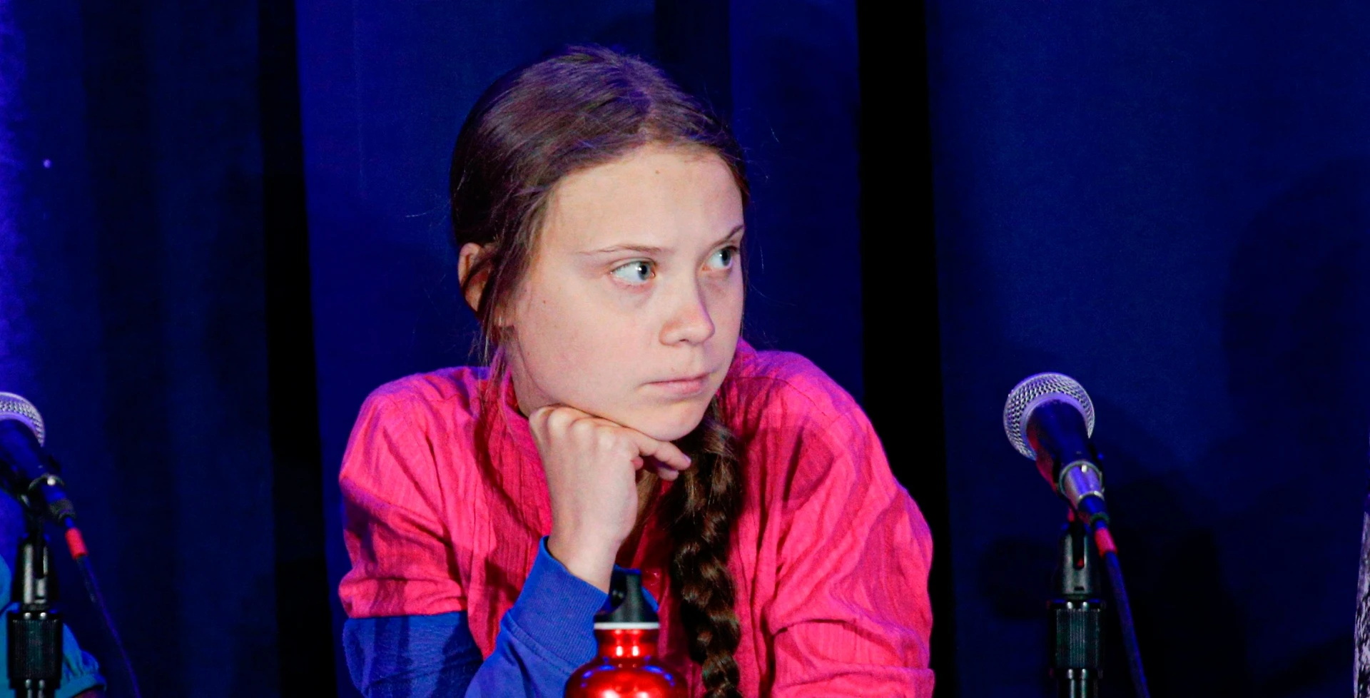 Greta Thunberg, lo scienziato a Libero: "Attaccarla è penoso". La risposta: la lista dei 500 che la contestano