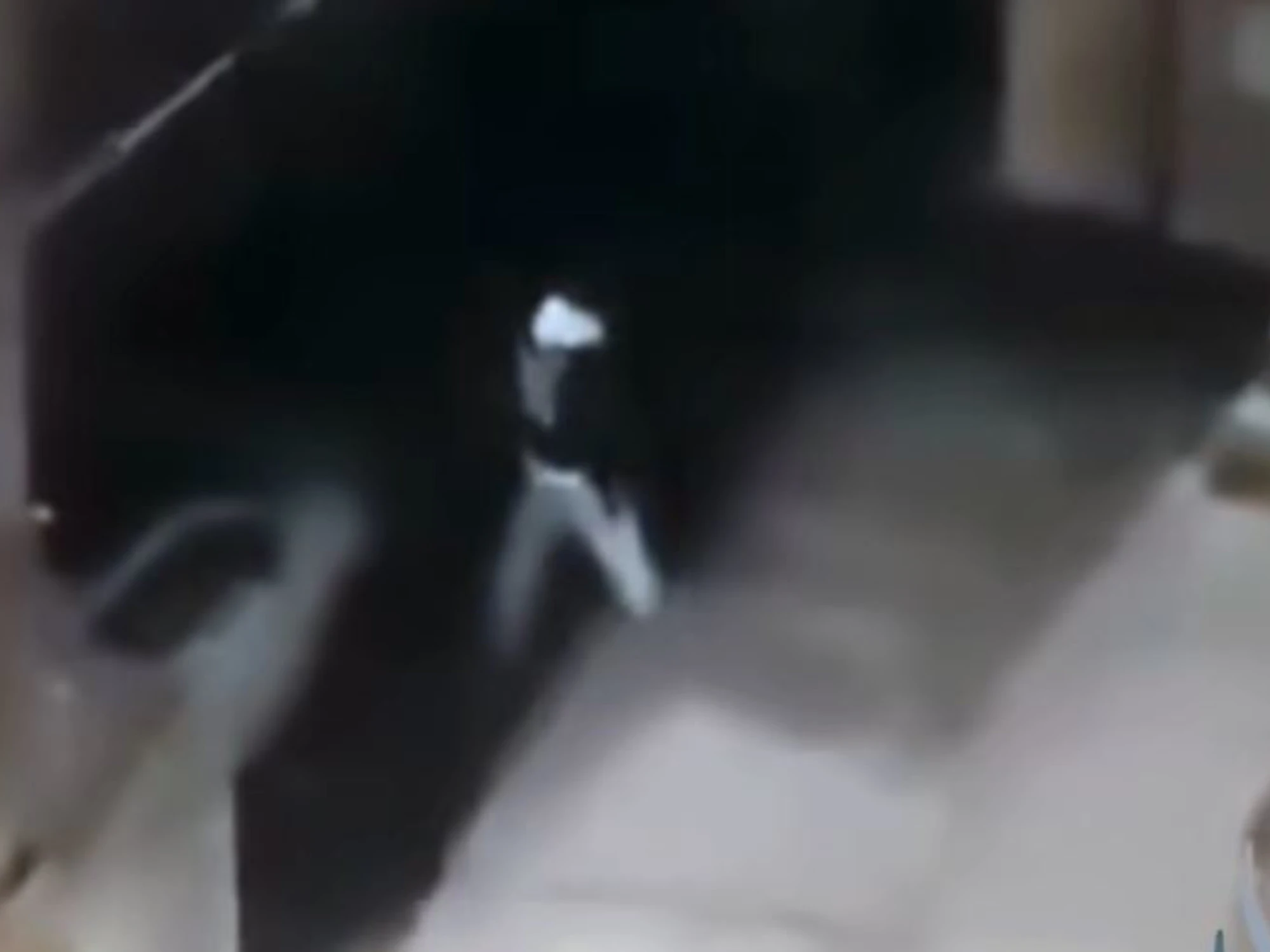 Potenza, distrugge oltre 100 specchietti: chi è il vandalo