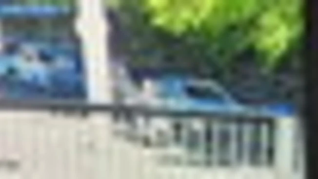 Il video degli spari al corteo del 25 aprile a Roma: fermato 21enne