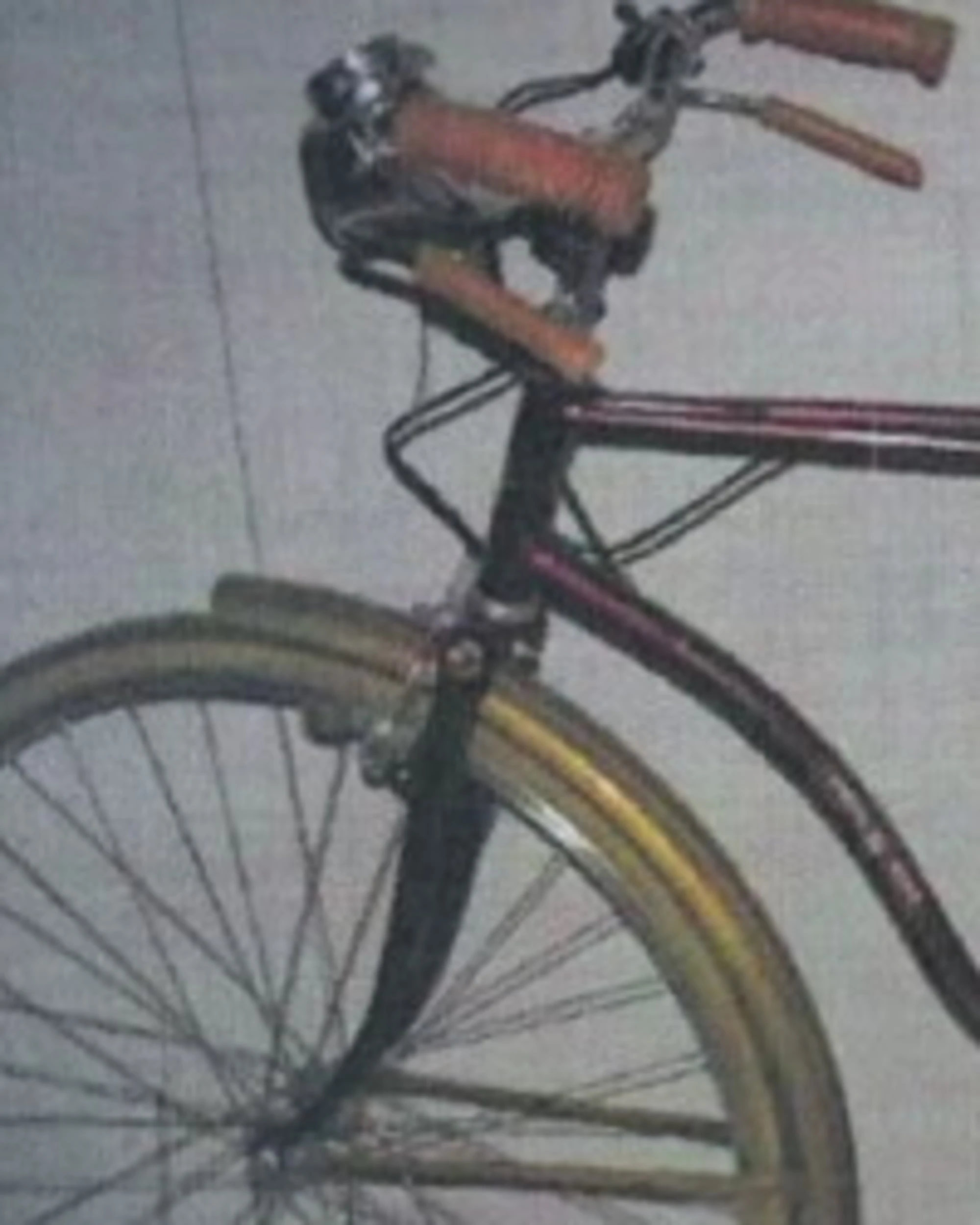 Garlasco, sangue sui pedali della bici di Stasi: la genetista ribalta tutto