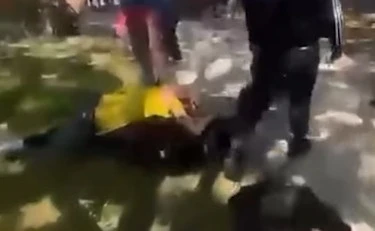 Parma, studenti maranza massacrano a pugni e bastonate due prof nel parco: il video che sconvolge l'Italia