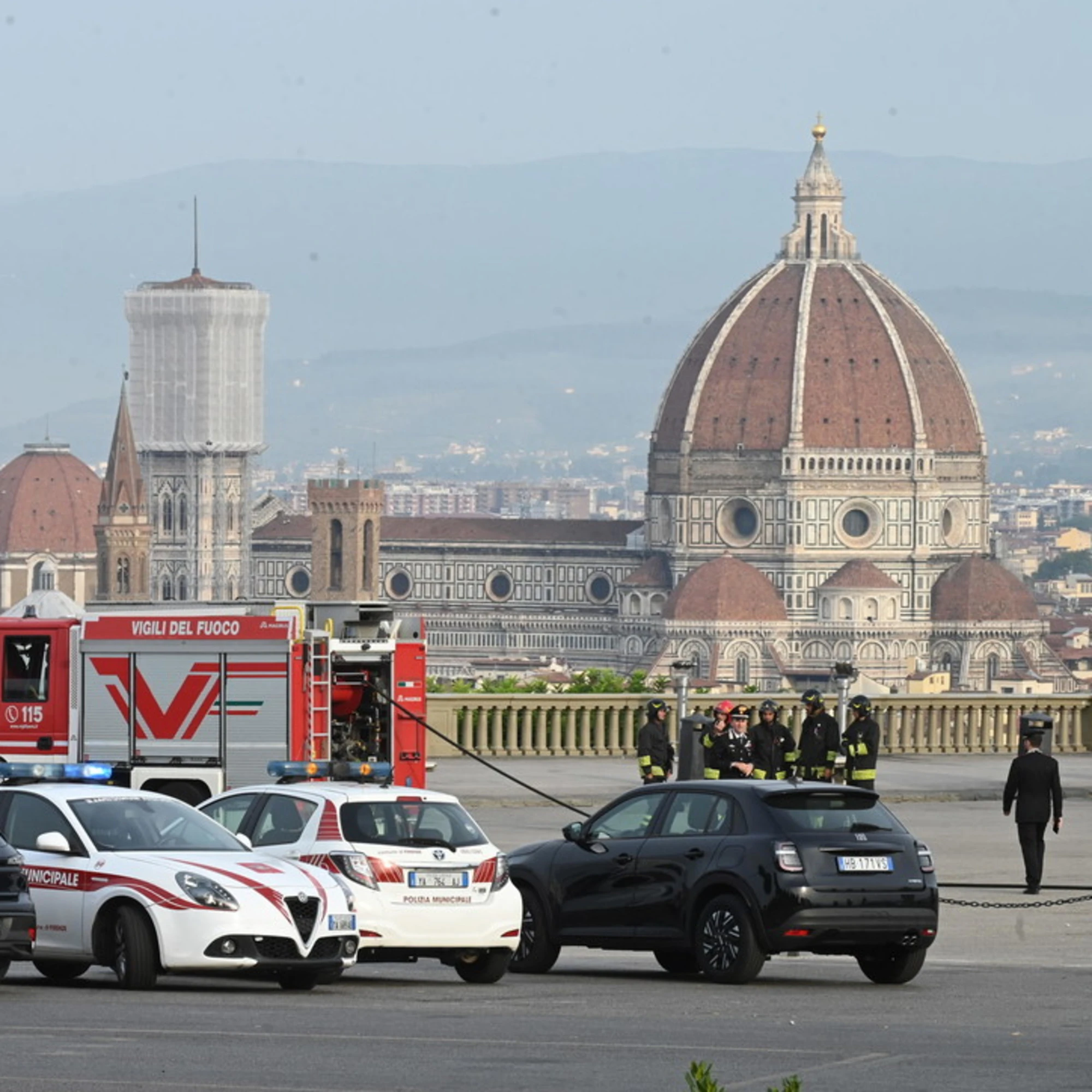 La gogna del Pd per chi vuol salvare gli alberi a Firenze