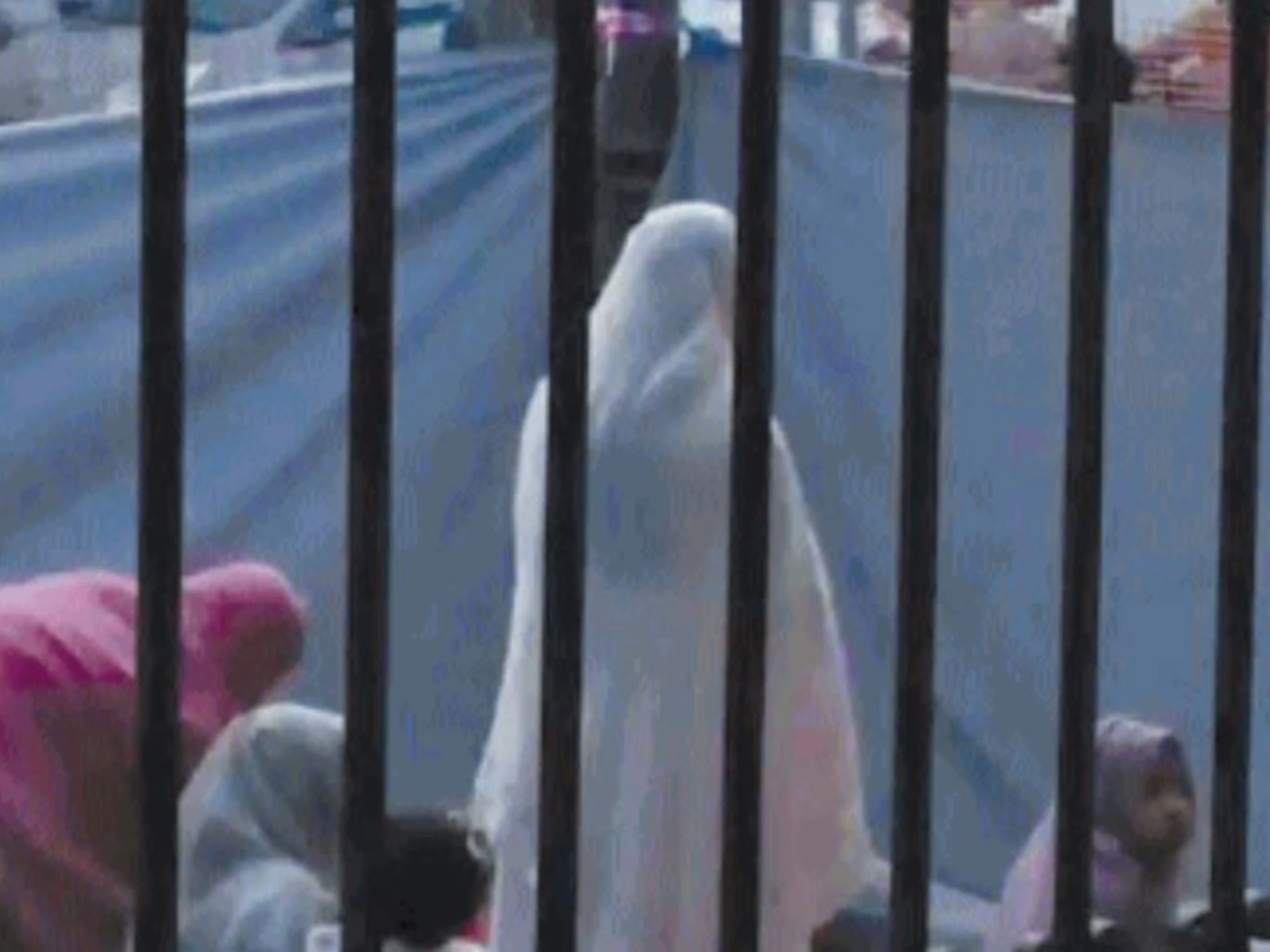 Donne islamiche chiuse nei recinti