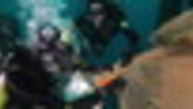 Genova, rimossa dai fondali una maxi rete fantasma di oltre una tonnellata