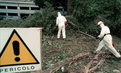 "Seimila morti di amianto solo nel 2014", la denuncia dell'Osservatorio nazionale