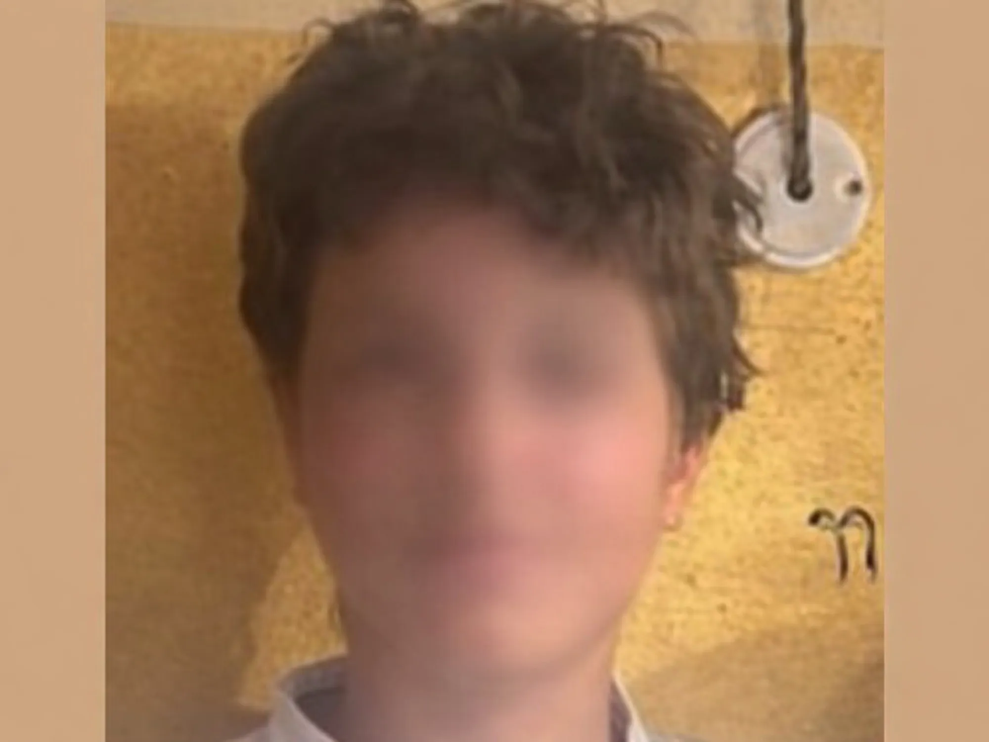 Leggi l'articolo: Diego, dove lo hanno trovato: perché cresce il mistero