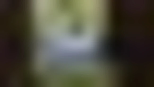 https://media.liberoquotidiano.it/97aHOLkuEy3BBpUv9qDWAxSGoD9hee72OFZY0FcS7-k/width:800/quality:90/aW1hZ2VzLzIwMjUvMDkvMzAvMTI1MDE2NzA3LTAwNTE0Mjg2LWVhNWEtNDMzMy05YzRlLTYyYjAyOWExMmU1NS5qcGc.webp
