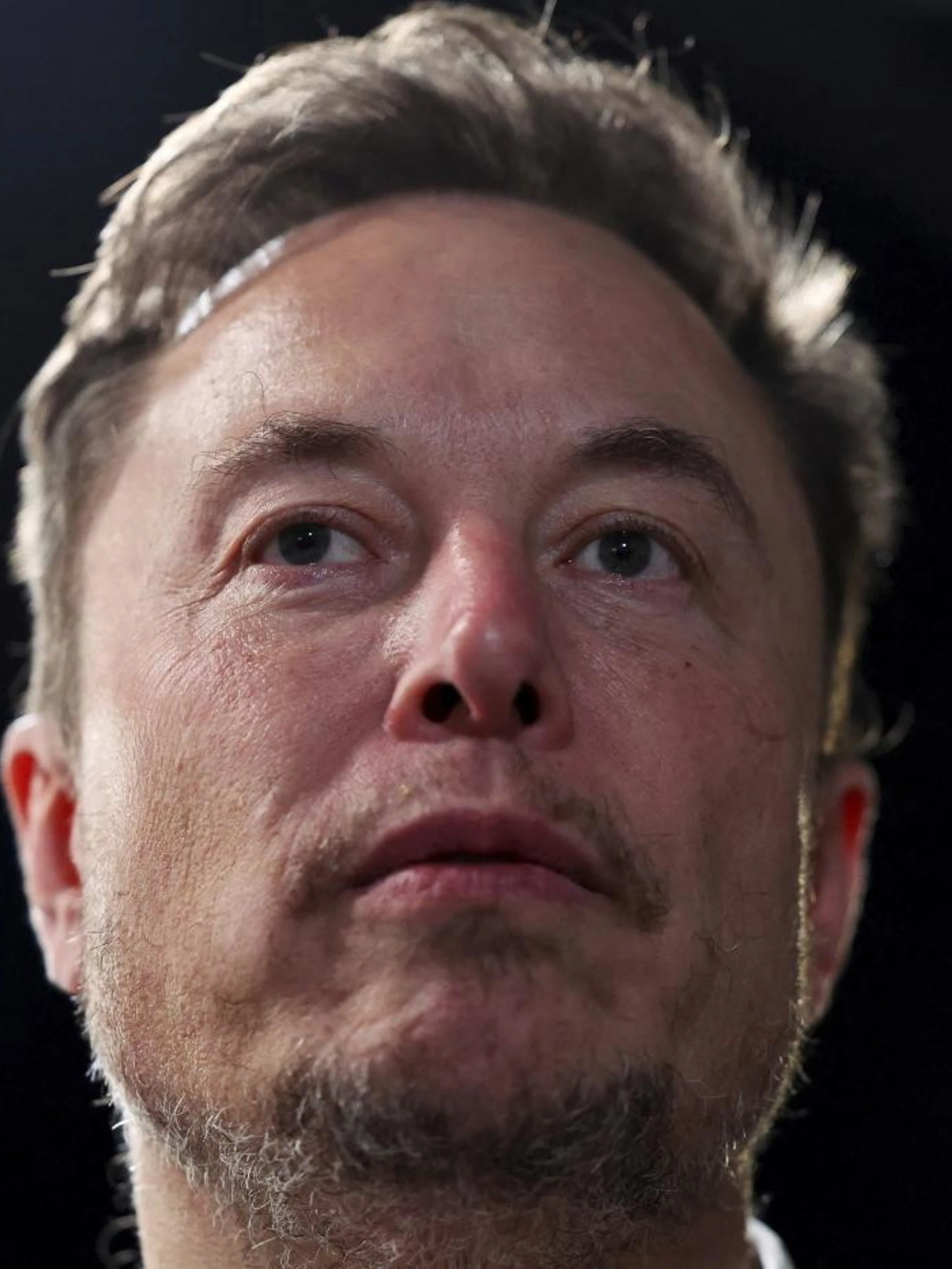 Musk molla il governo Usa: Tesla vola