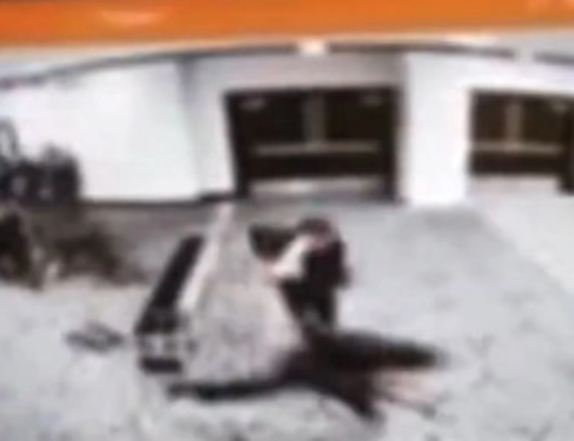 Trump spiazza il mondo, "chi dovrebbe ingaggiare l'attentatore"