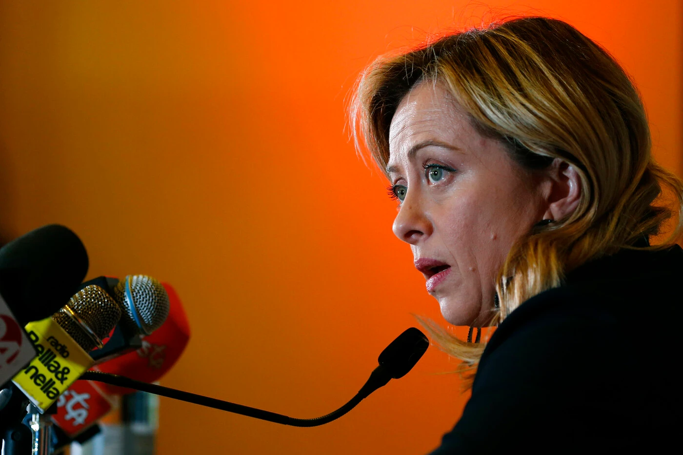 Carola Rackete, Meloni: "All'Ue serve la Guardia di Finanza e il generale Leonardo Tricarico per dire la loro"