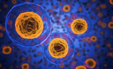 Cancro: nei linfonodi la nuova arma contro i tumori
