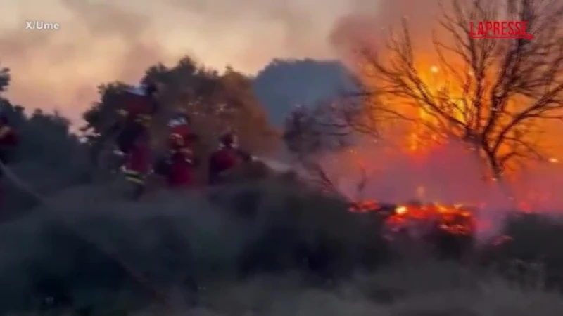 Spagna, incendio fuori controllo a Saragozza: i vigili del fuoco lottano contro le fiamme