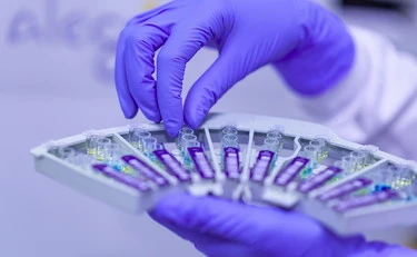 Ossigeno, la chiave per far ricrescere gli arti agli uomini