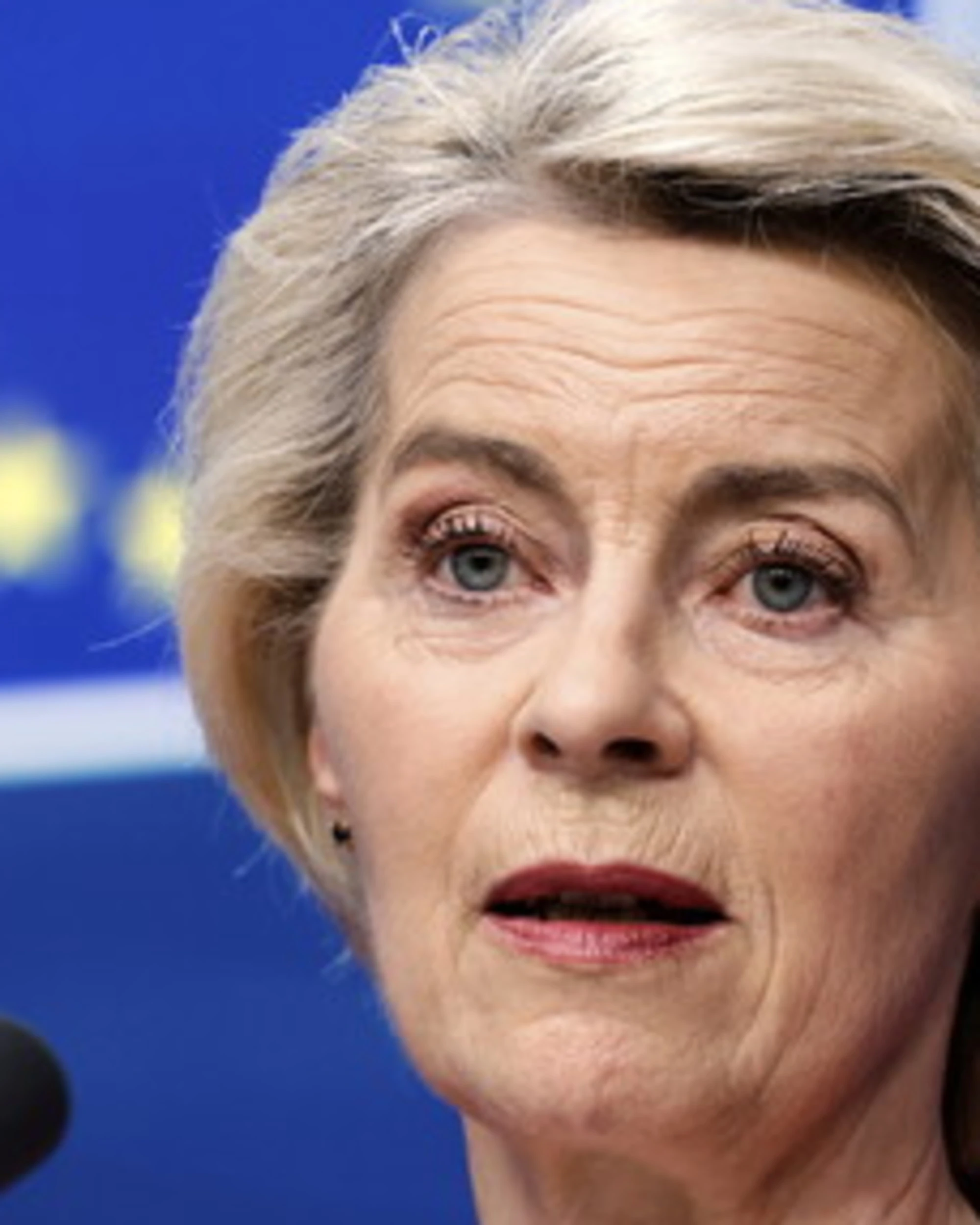 Lega contro Von der Leyen: "Il piano per il clima una follia, ci vuole distruggere"