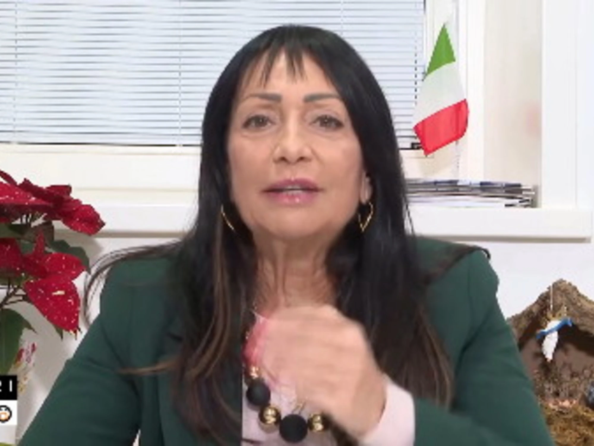 Fuori dal coro, Anna Maria Cisint: "Islamici violenti e sovversivi", la clamorosa interrogazione al Parlamento Ue