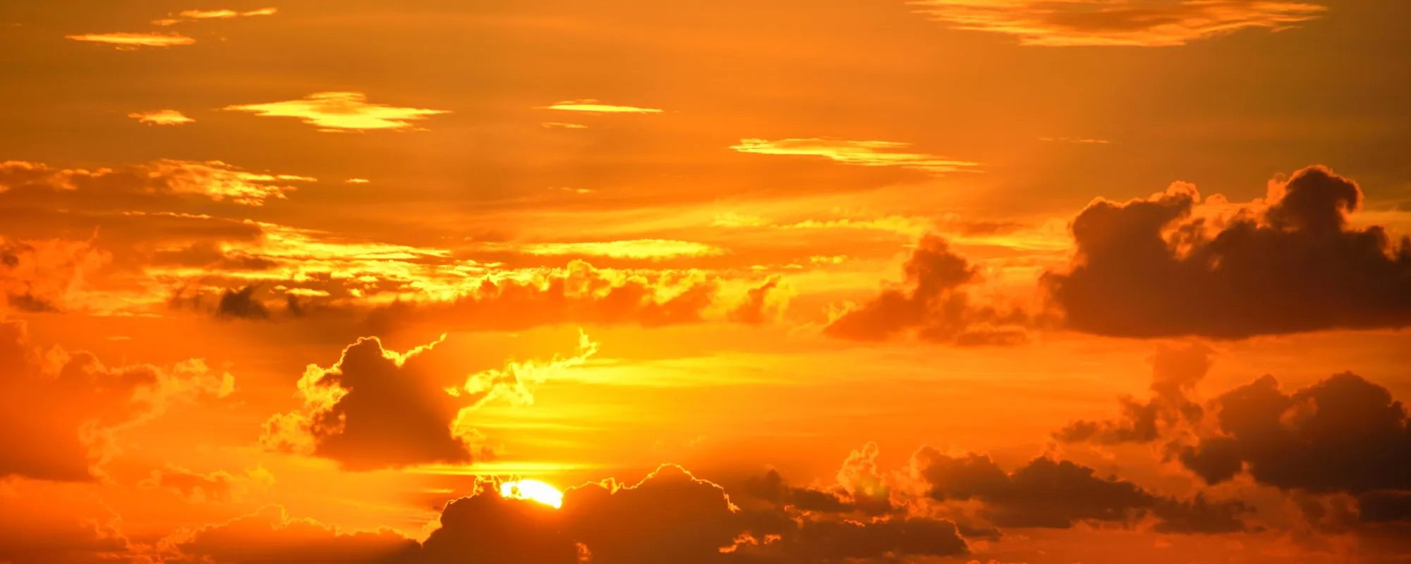Meteo, nuova ondata di calore estremo: i giorni e le temperature