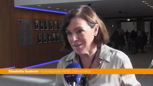 Ue, Gualmini "Proposta di bilancio 2028-2034 insufficiente e insoddisfacente"