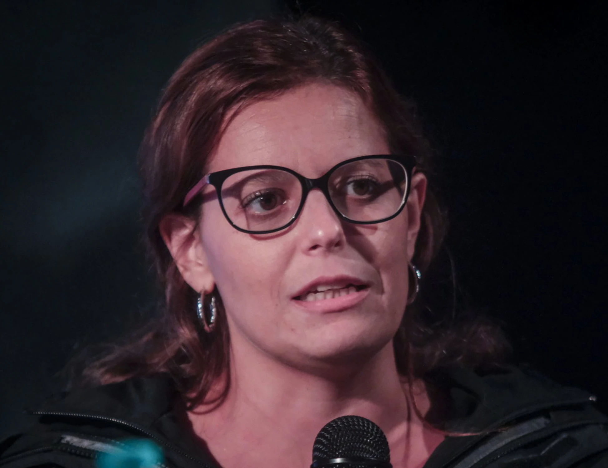 Ilaria Salis esulta: "Il problema è l'Ungheria di Orban"