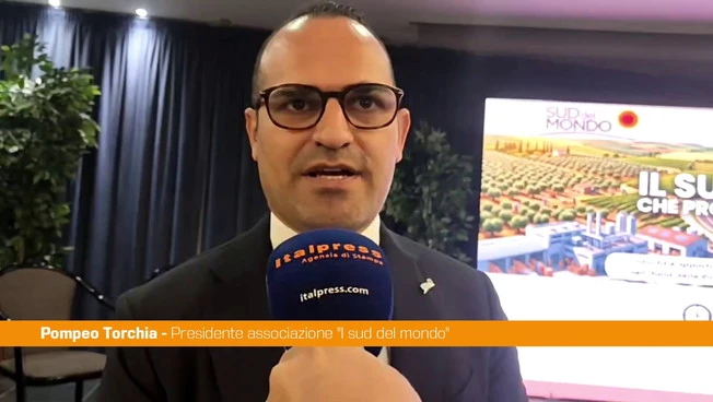 Energia, Torchia "Mezzogiorno traina il Paese nella produzione di rinnovabili"
