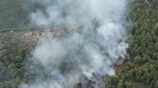 Vieste brucia, incendio alla baia di San Felice: paura per 2mila turisti nel residence