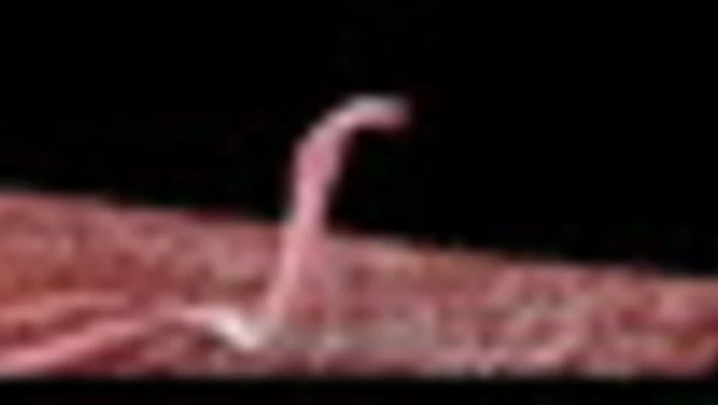 Dietro le quinte digitali di Sandokan, effetti speciali Made in Italy