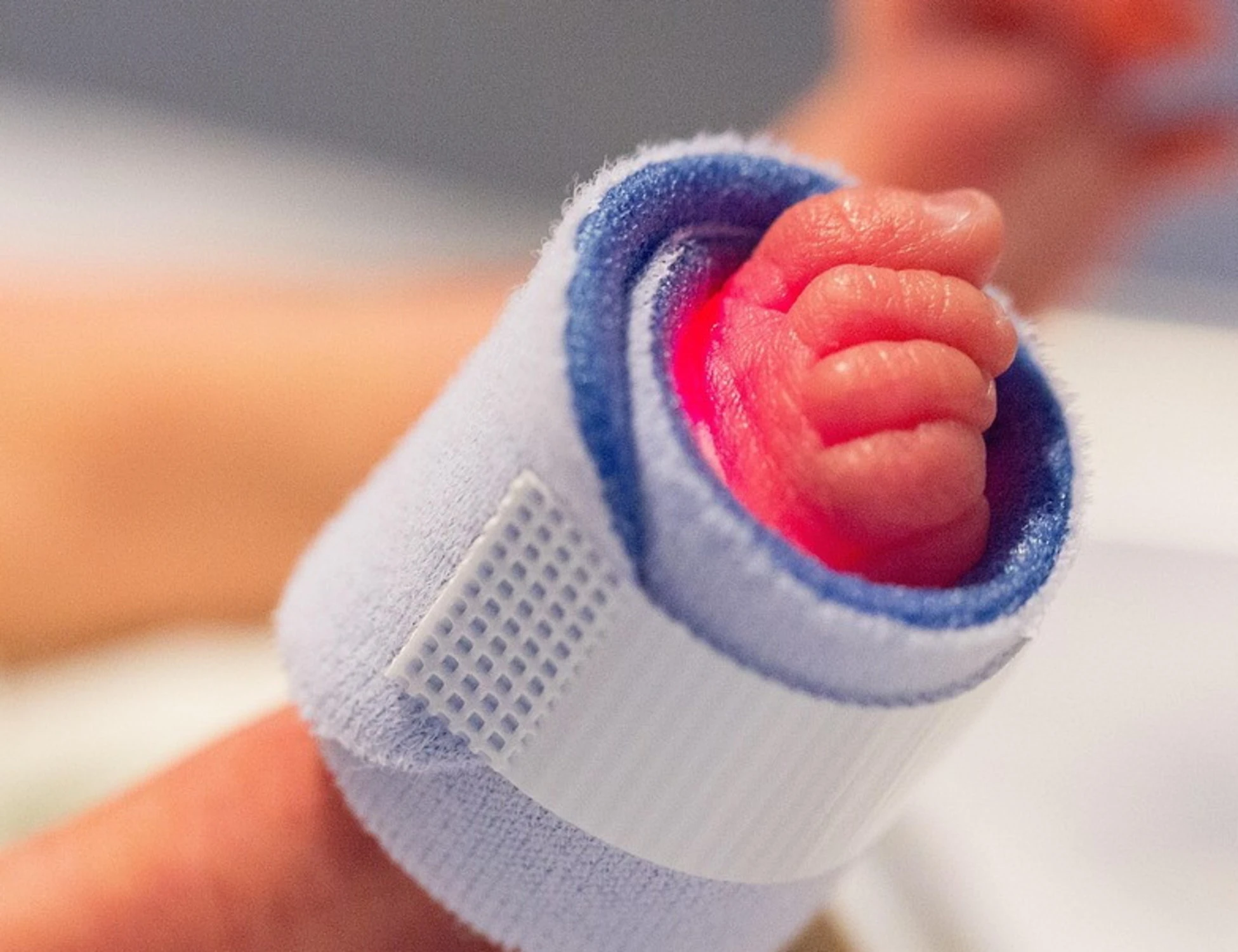 Bolzano, due neonati morti? "Chi ha introdotto il batterio": il sospetto choc