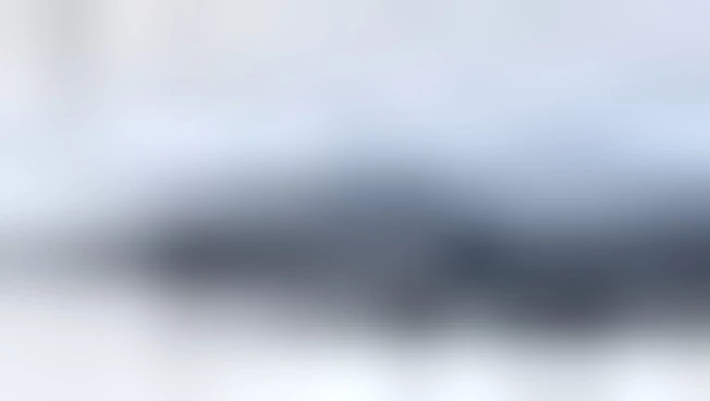 Ucraina, l'esercito di Kiev: i russi avanzano a Zaporizhzhia