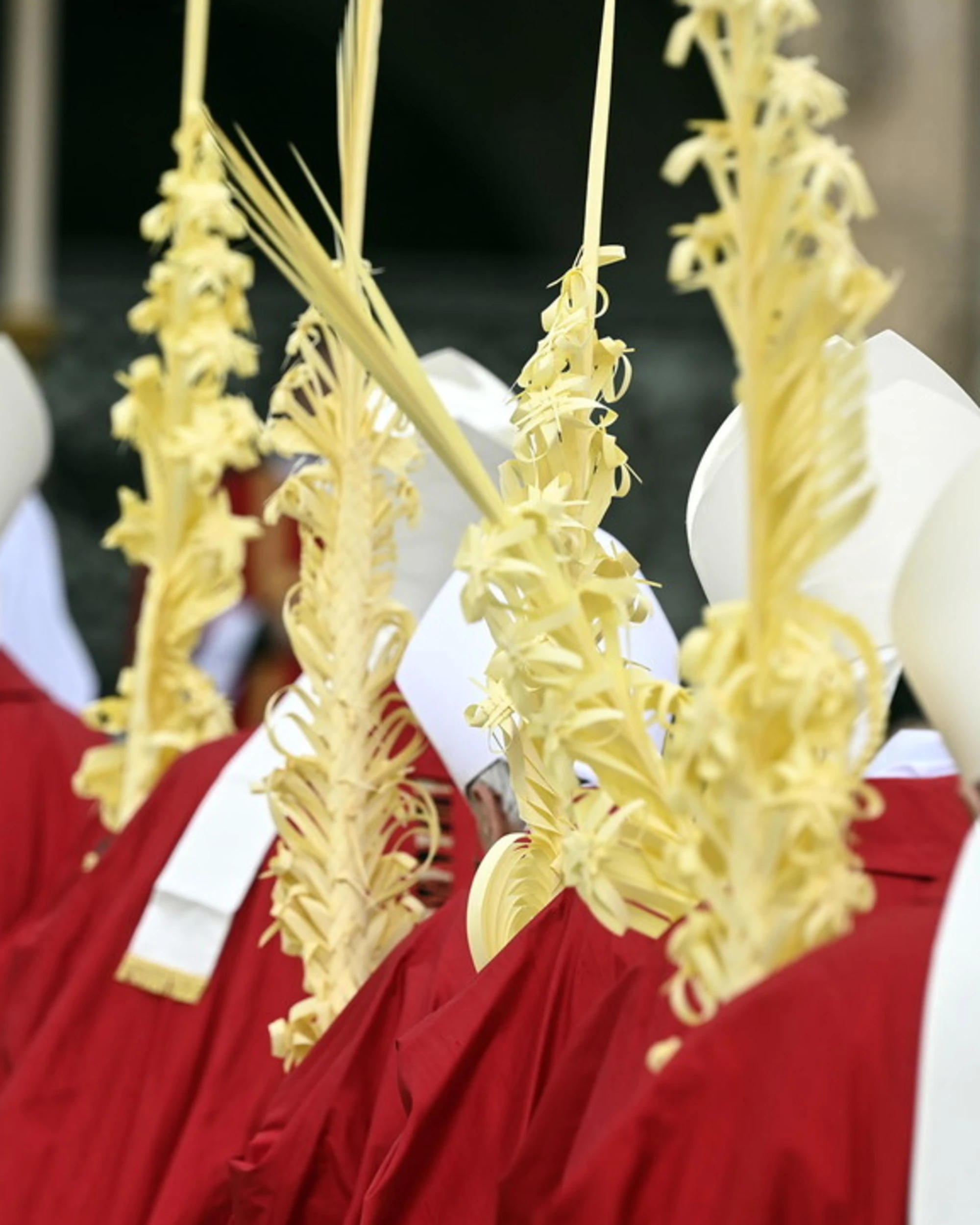 Papa Francesco, quanto guadagnano i cardinali